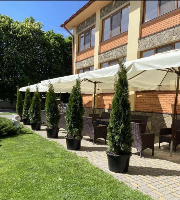 Parasol zewnętrzny Viena, duża kwadratowa kopuła 4х4m - obrazek 7